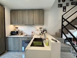 Leedon Green (D10), Condominium #551191561
